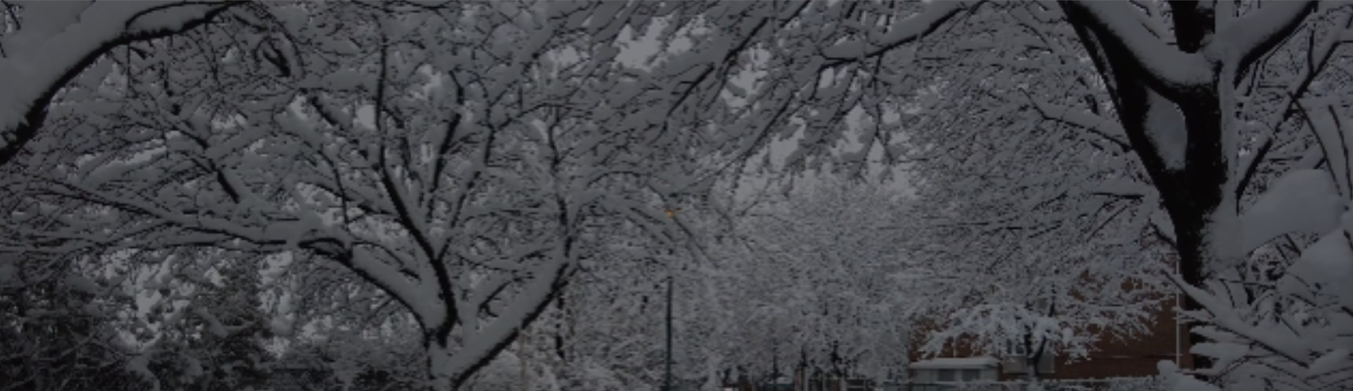 Background   winter (2)